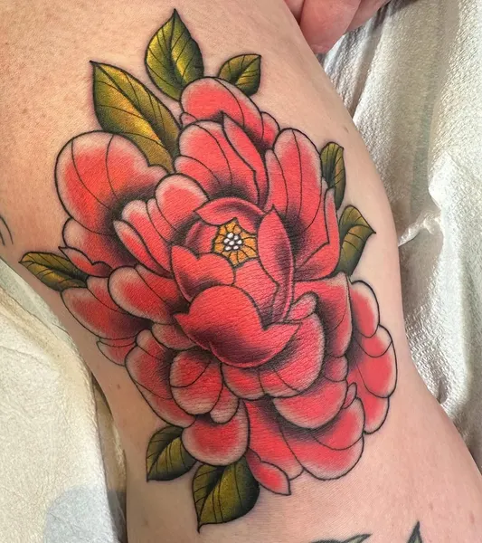Flower, Rose