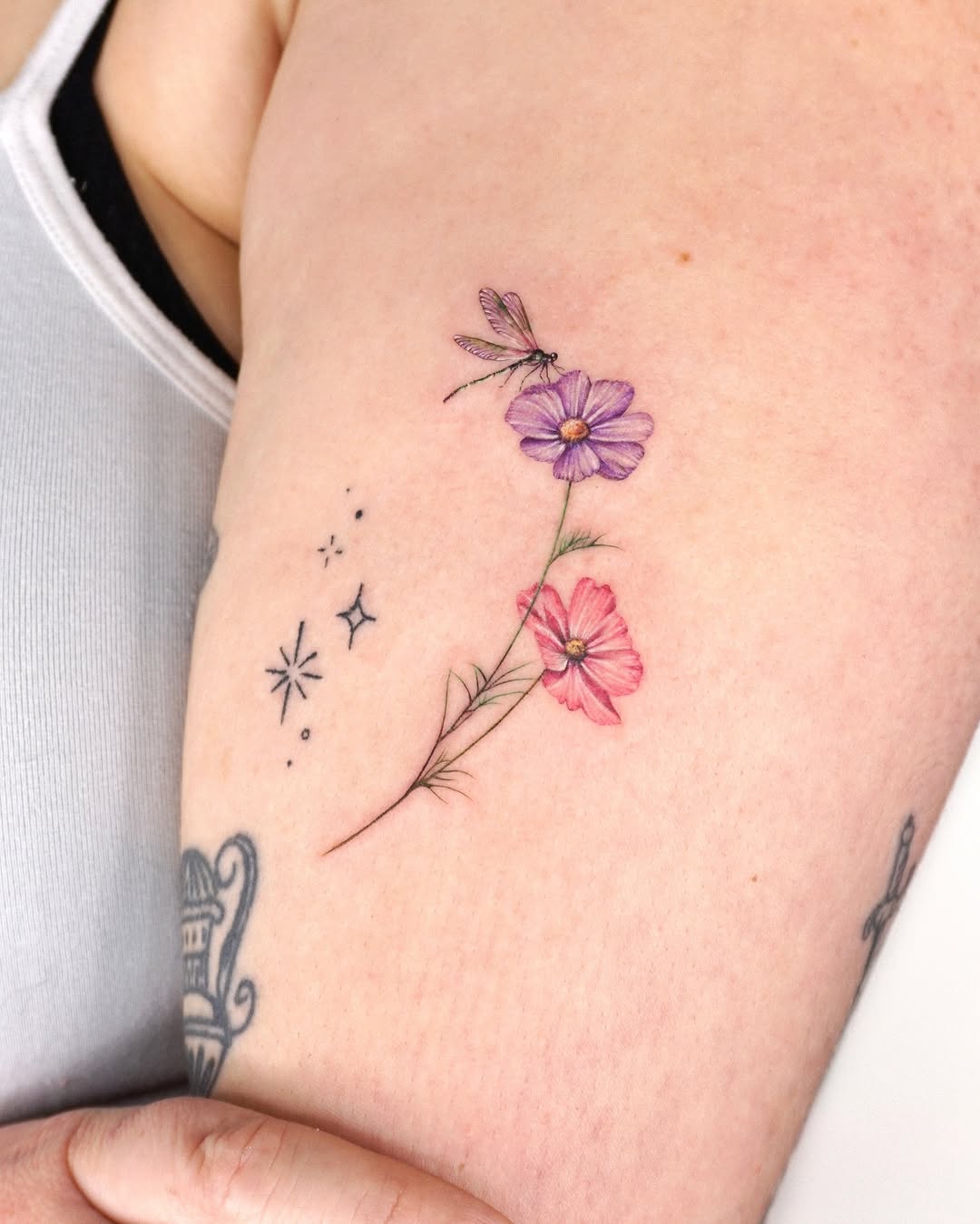 Flower, Nature