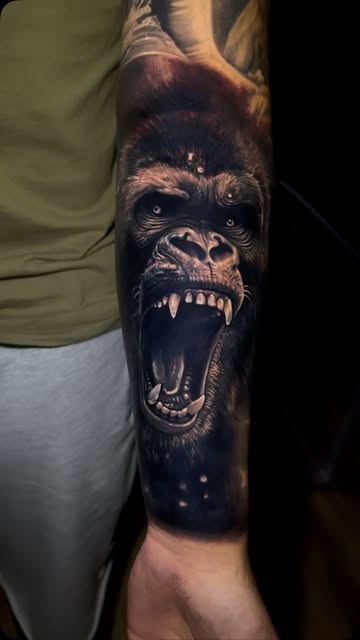 Tiger, Animal, 고릴라