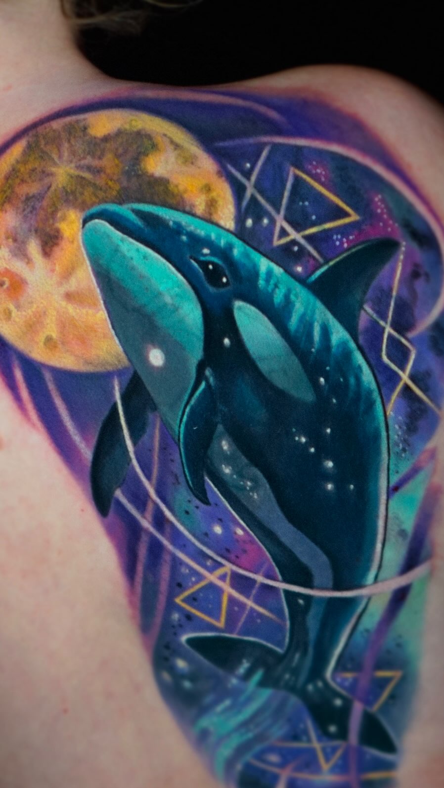 Animal, Nature