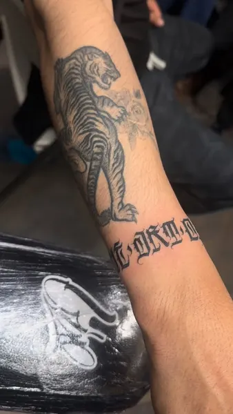 Tiger