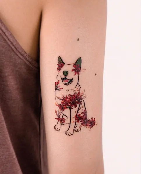 Animal