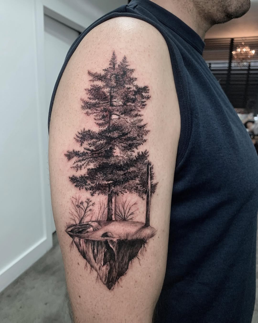 숲, 나무, 대나무, Nature, 소나무