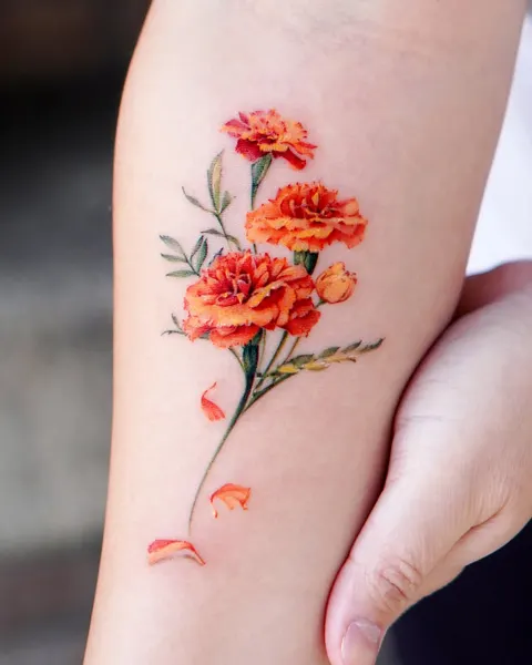 Flower, Nature