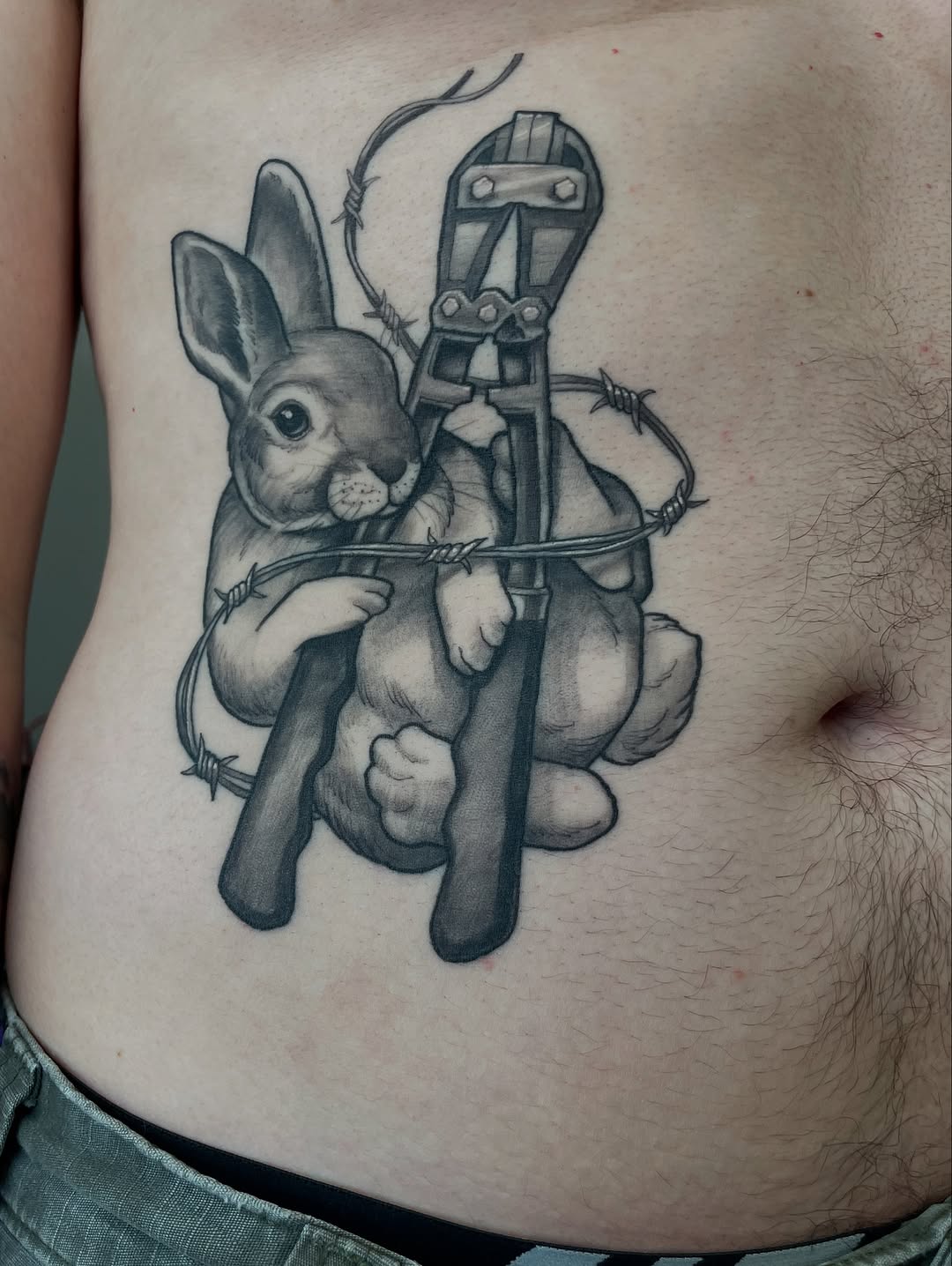 Animal, 토끼
