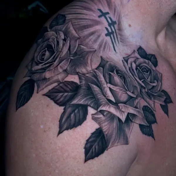 Flower, Rose, Nature
