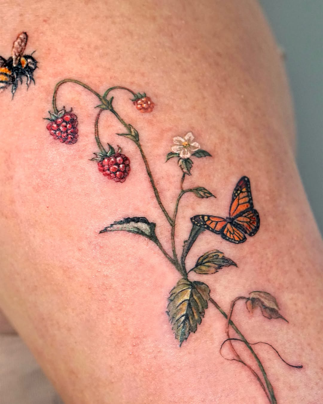 Flower, Rose