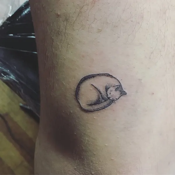 Animal