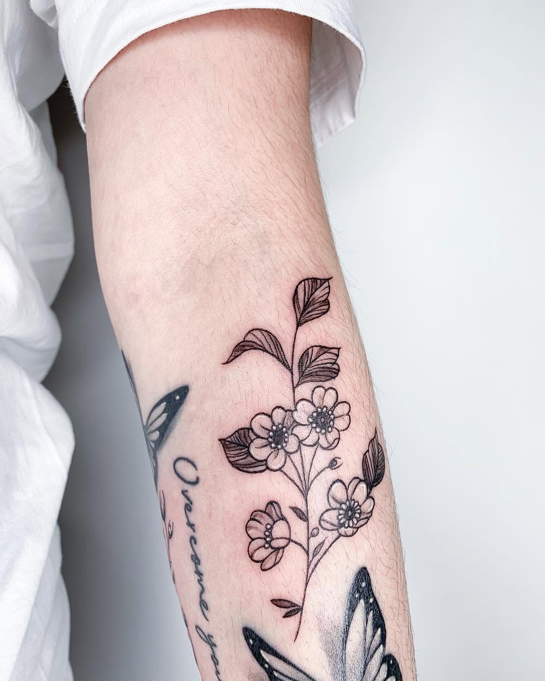 Flower, Rose