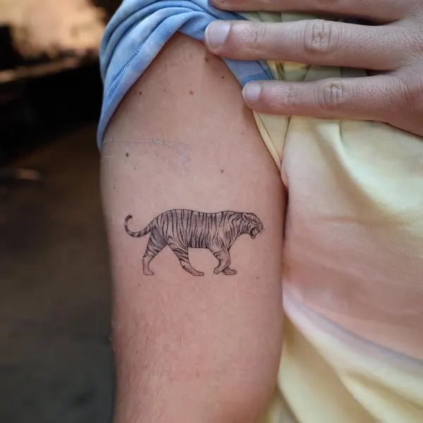 Tiger