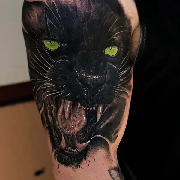 Animal, Tiger