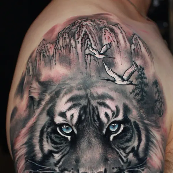 Tiger, 중국 호랑이