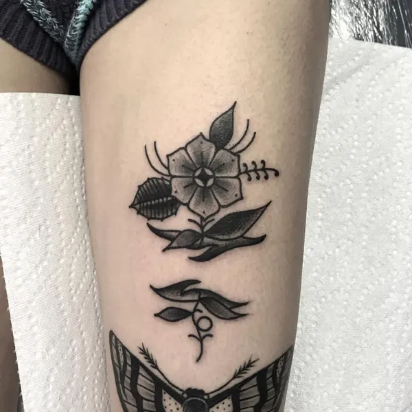 Flower, Rose, Animal