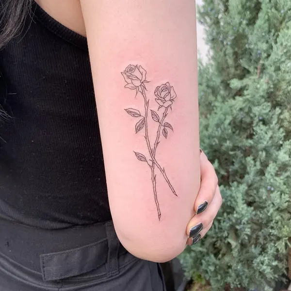 Flower, Rose, Nature