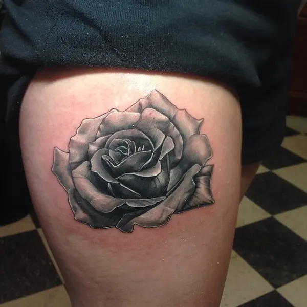 Flower, Rose