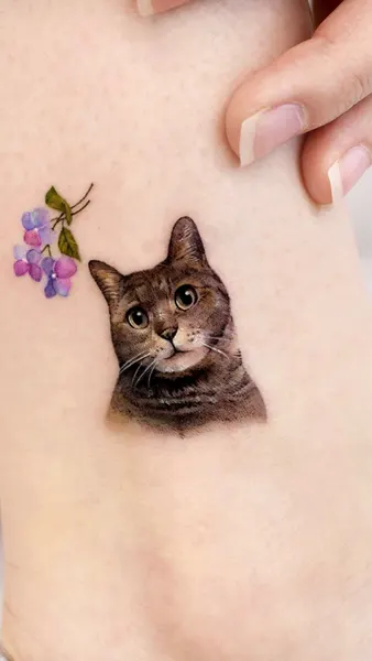 고양이