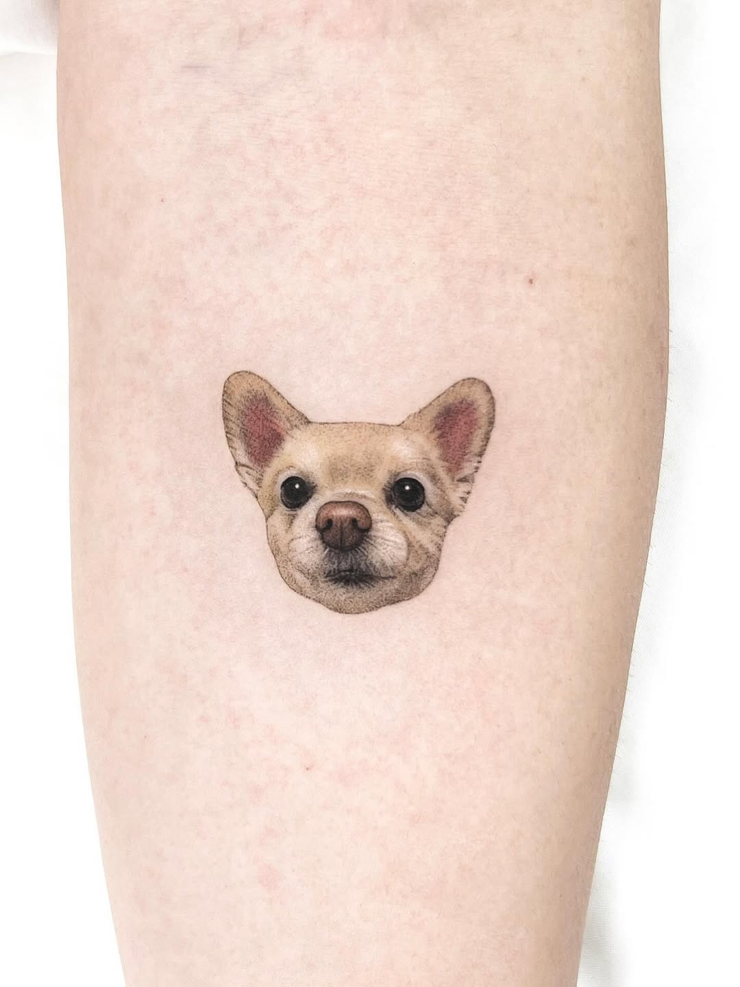 dorok.tattoo
