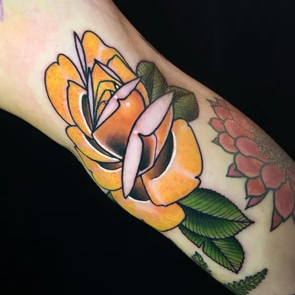 Flower, Rose