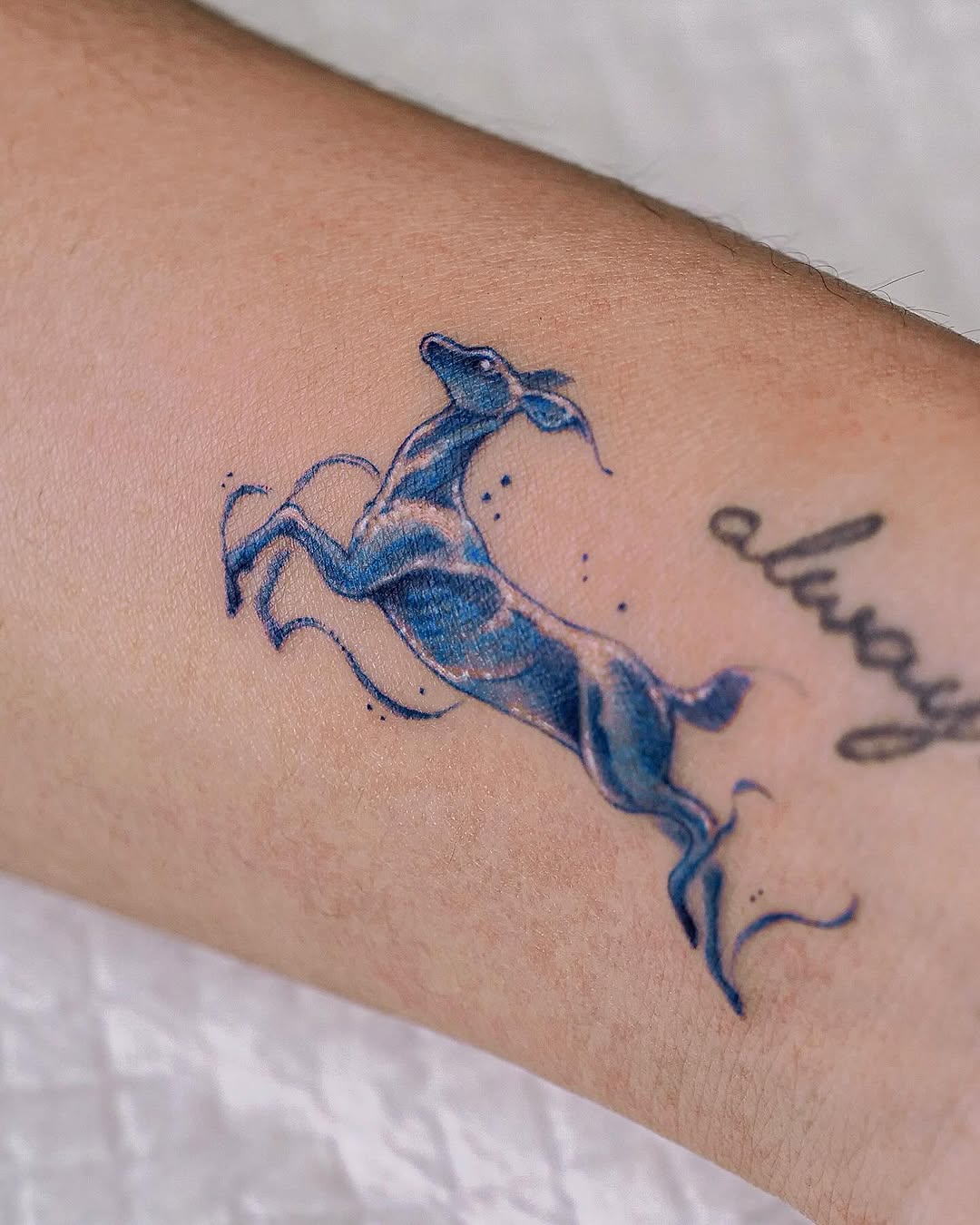 tattooist.inno
