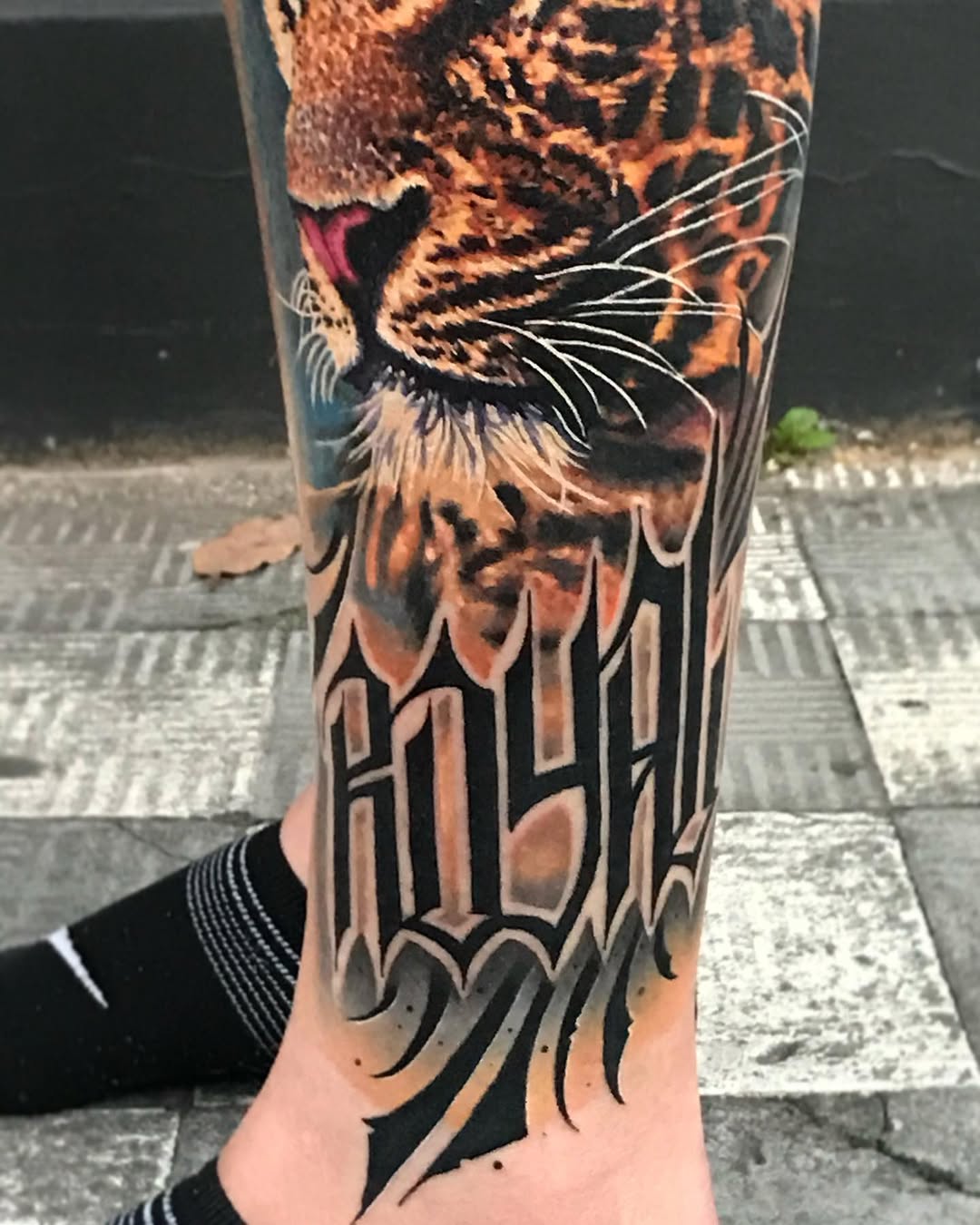표범, 재규어, 치타, Animal