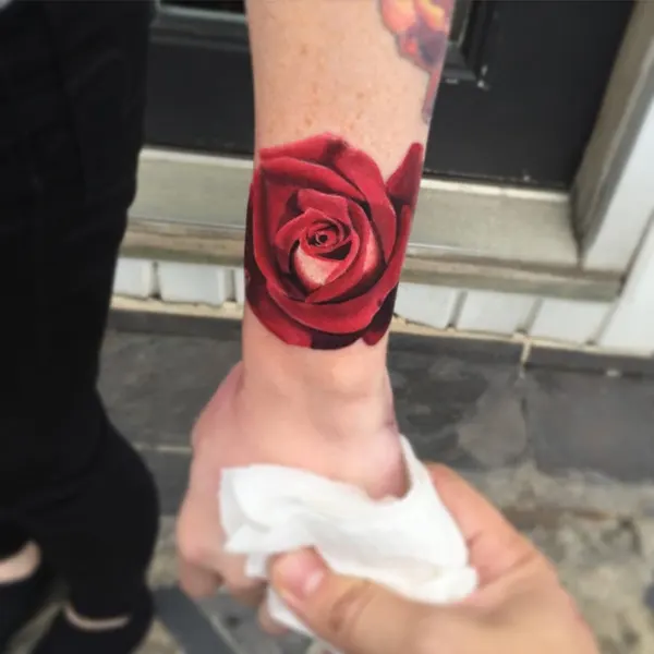 Flower, Rose