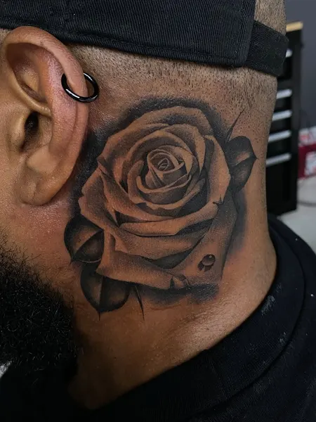 Flower, Rose