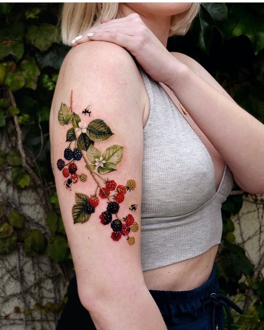 Flower, Rose, Nature