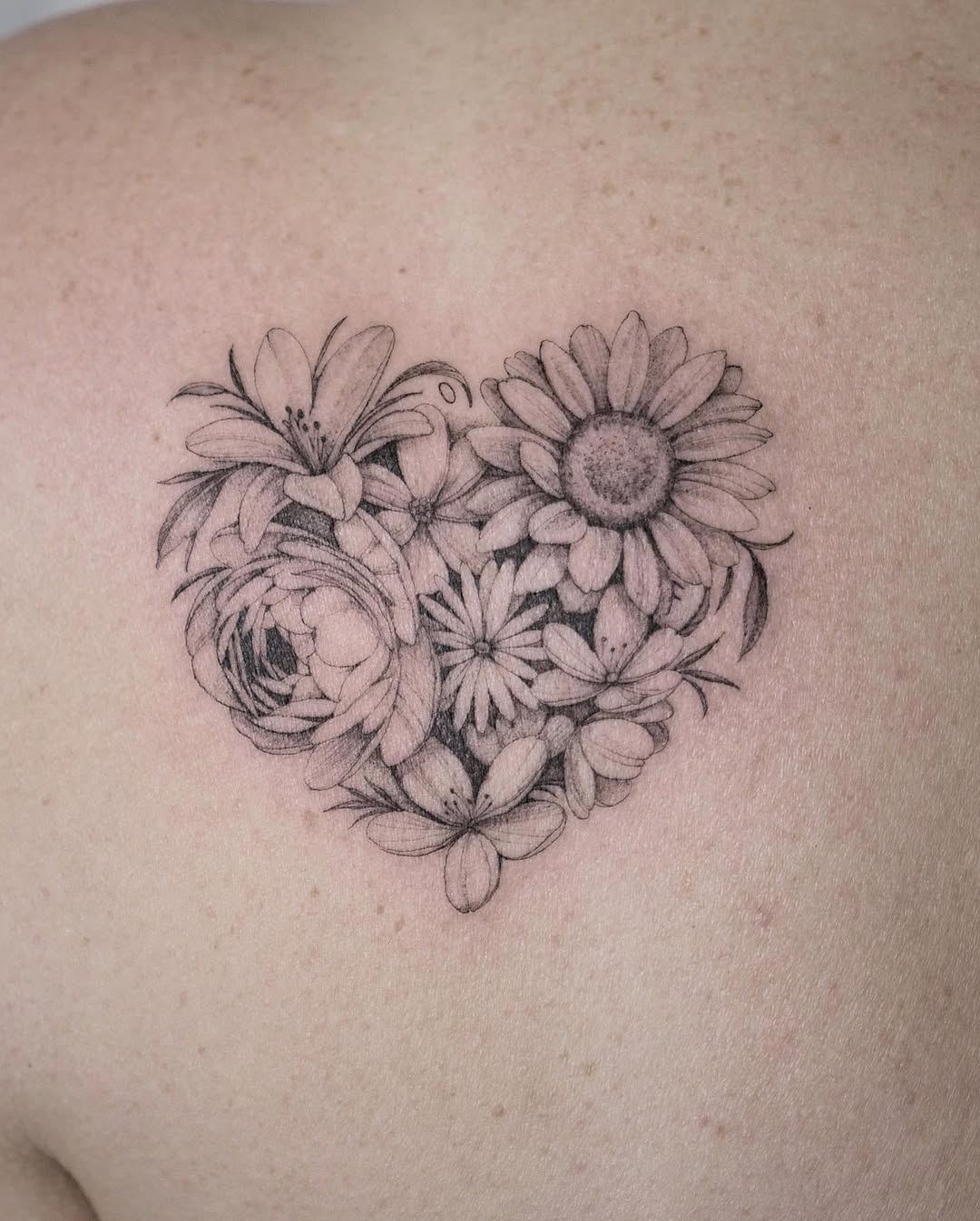 Flower, Nature, Rose