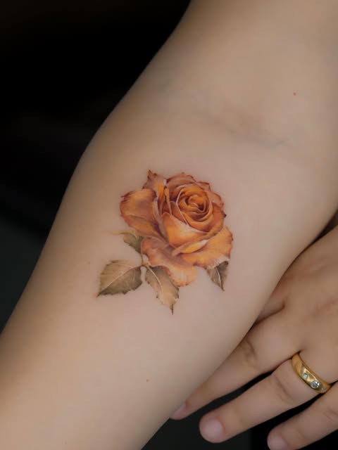 Flower, Rose