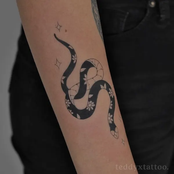 Dragon, Snake