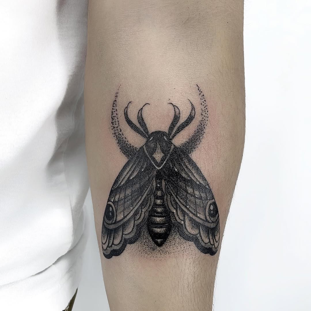 Animal, Nature