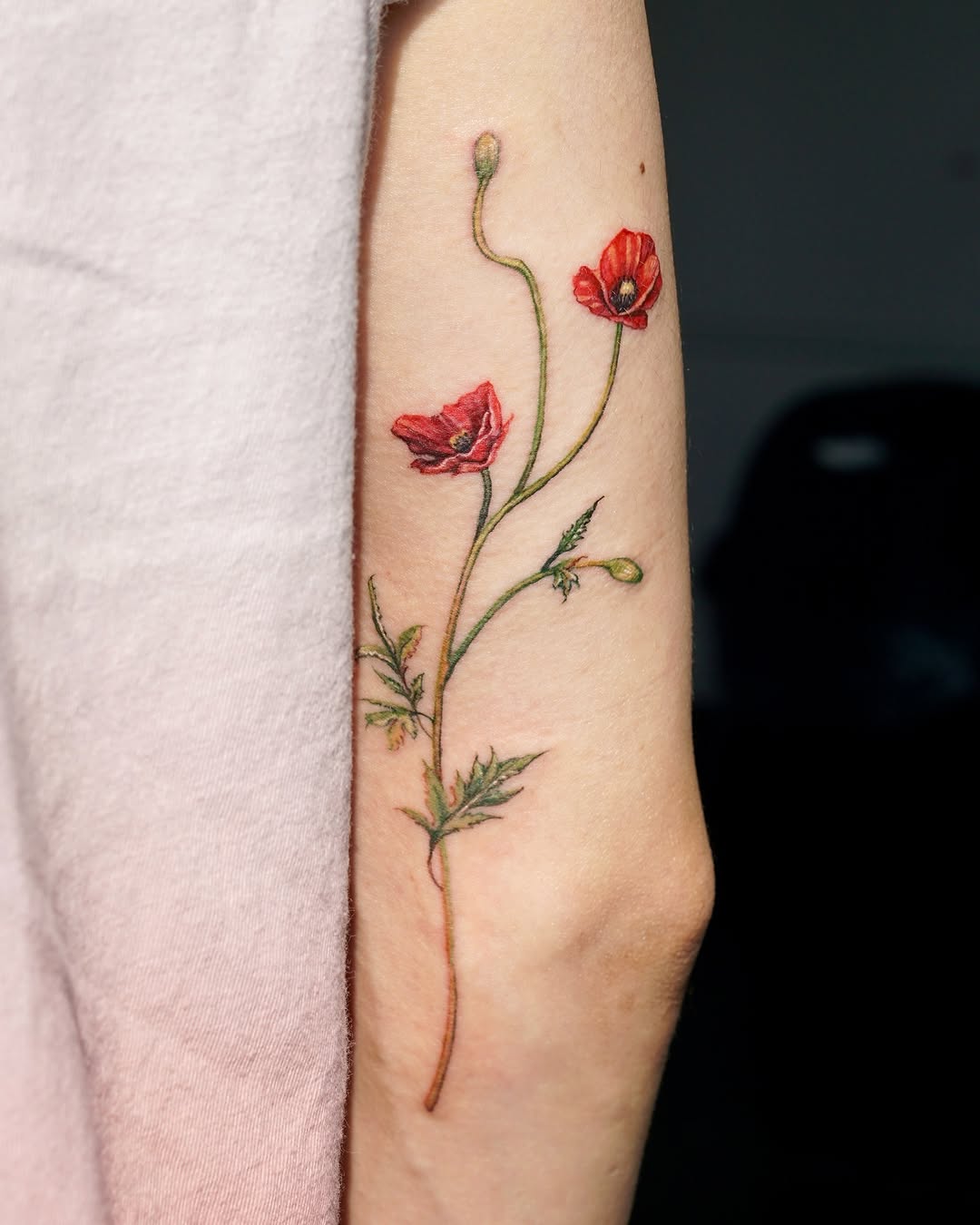 Flower, Rose, 양귀비