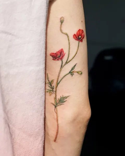Flower, Rose, 양귀비