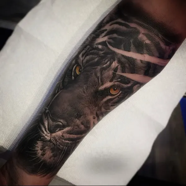 Tiger