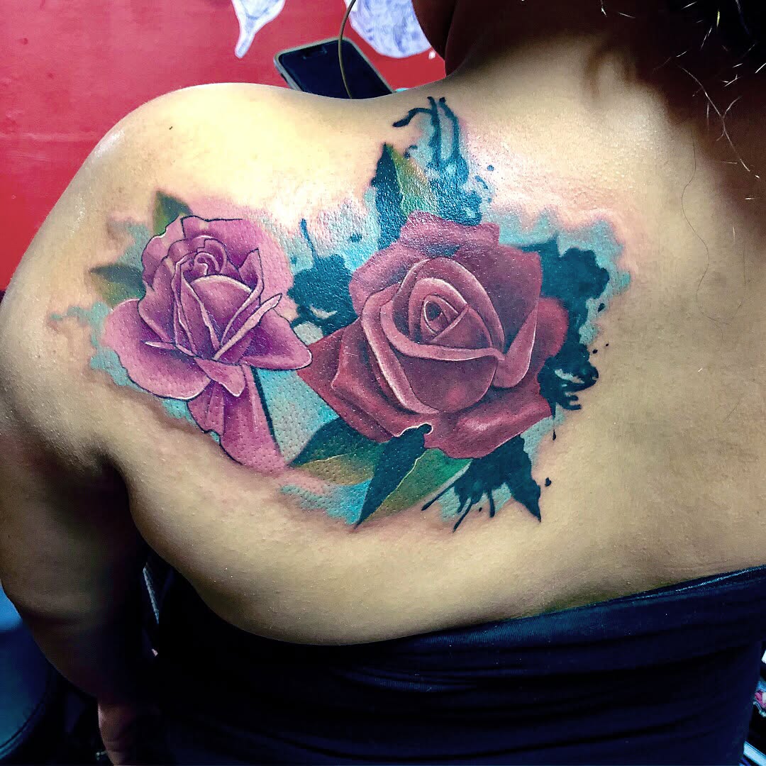 Flower, Rose, Nature
