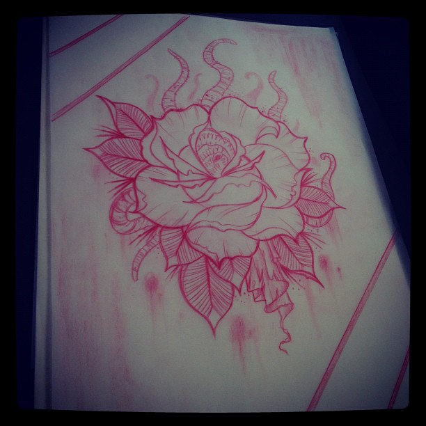Flower, Rose