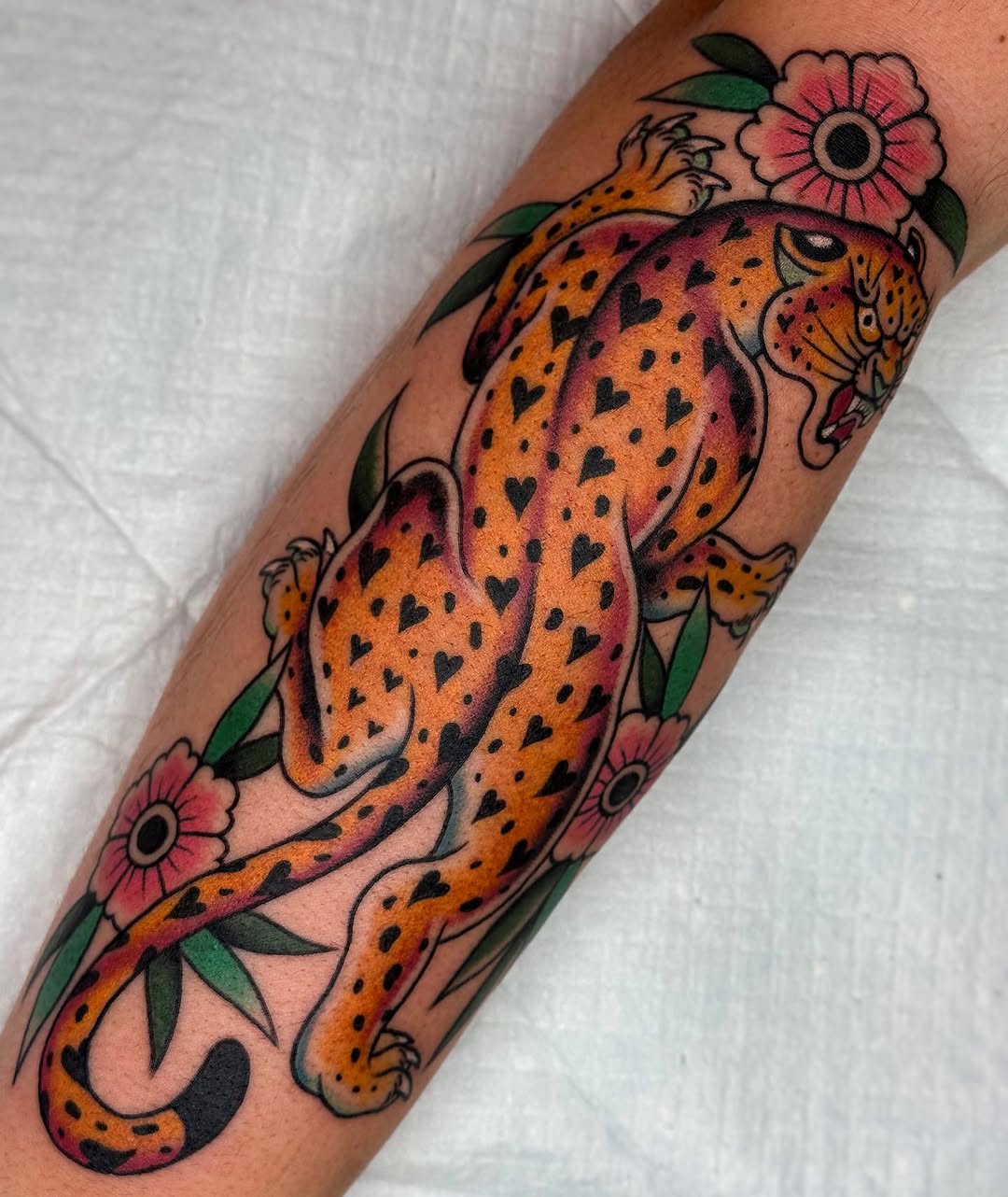Tiger, Animal, 표범