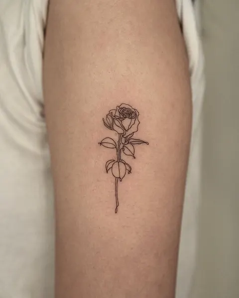 Flower, Rose, Nature