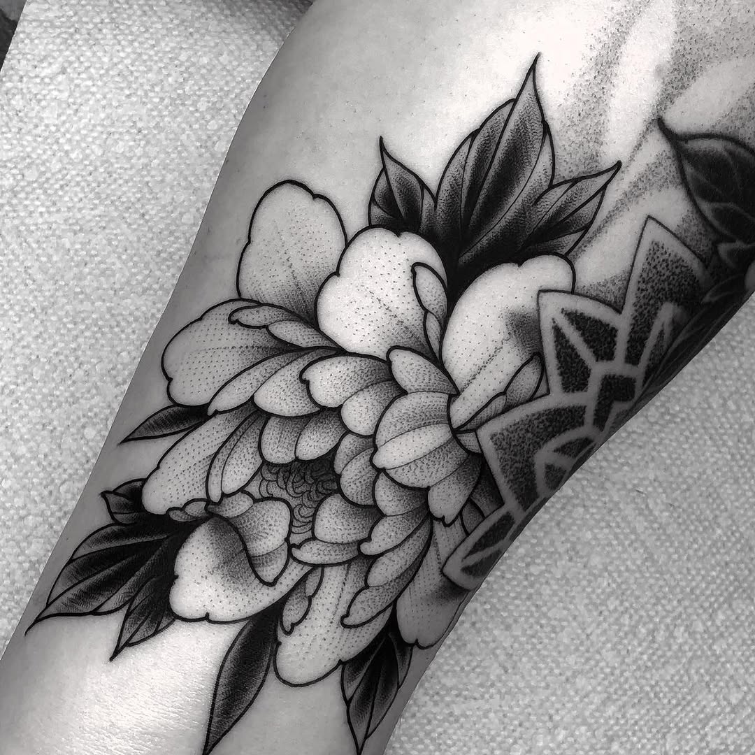 Flower, Rose