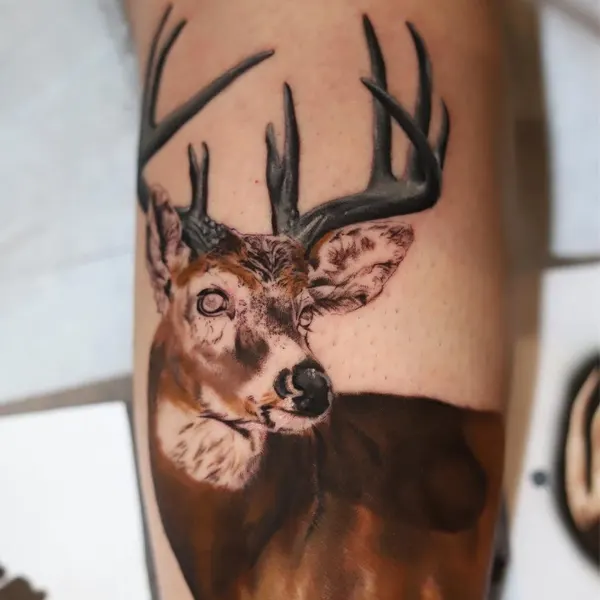 danmcwilliamsart