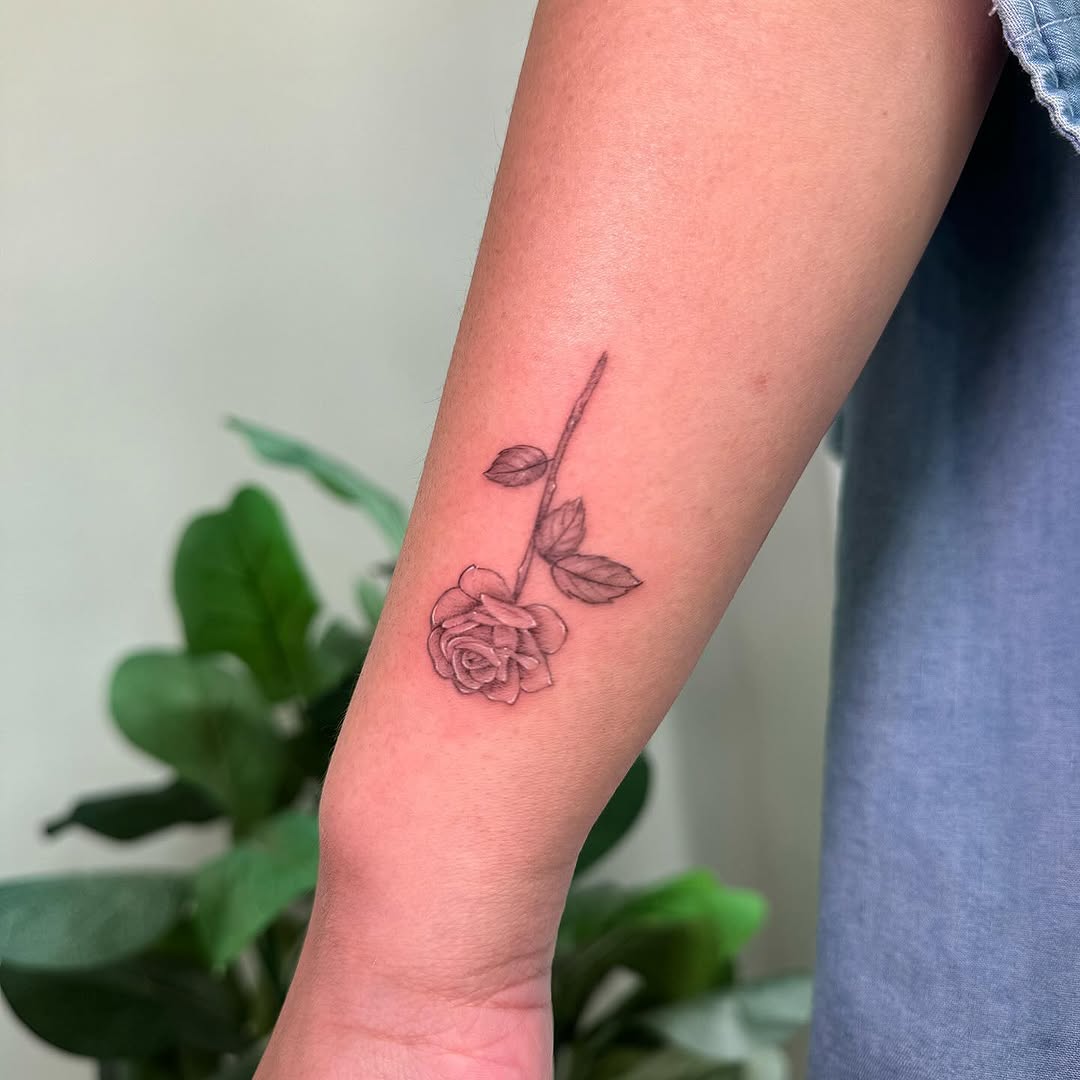 Flower, Rose