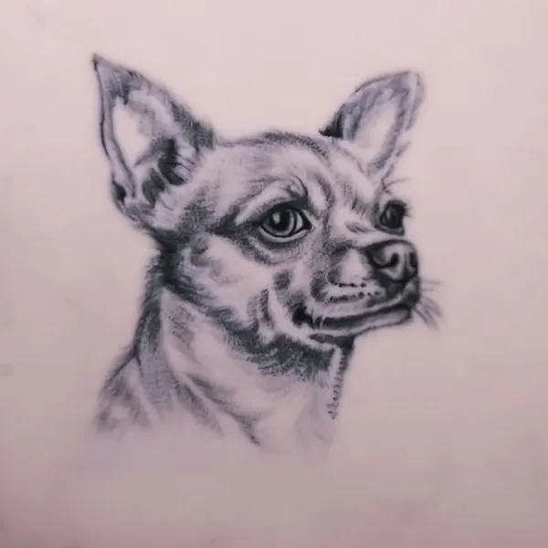 inkedlifemiami