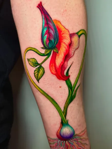 Flower, Rose