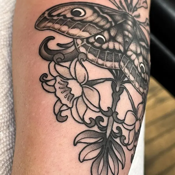 Animal, Nature, Flower