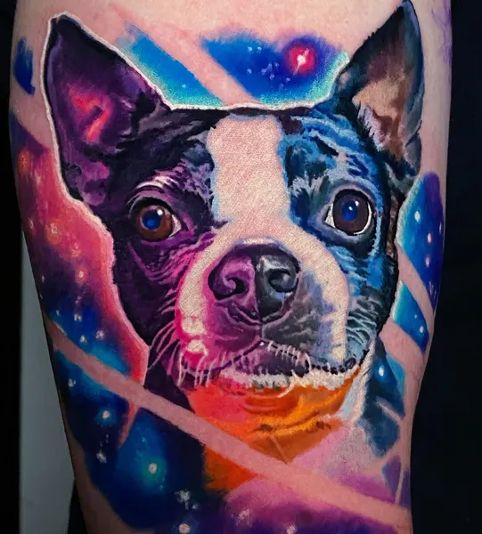 Animal
