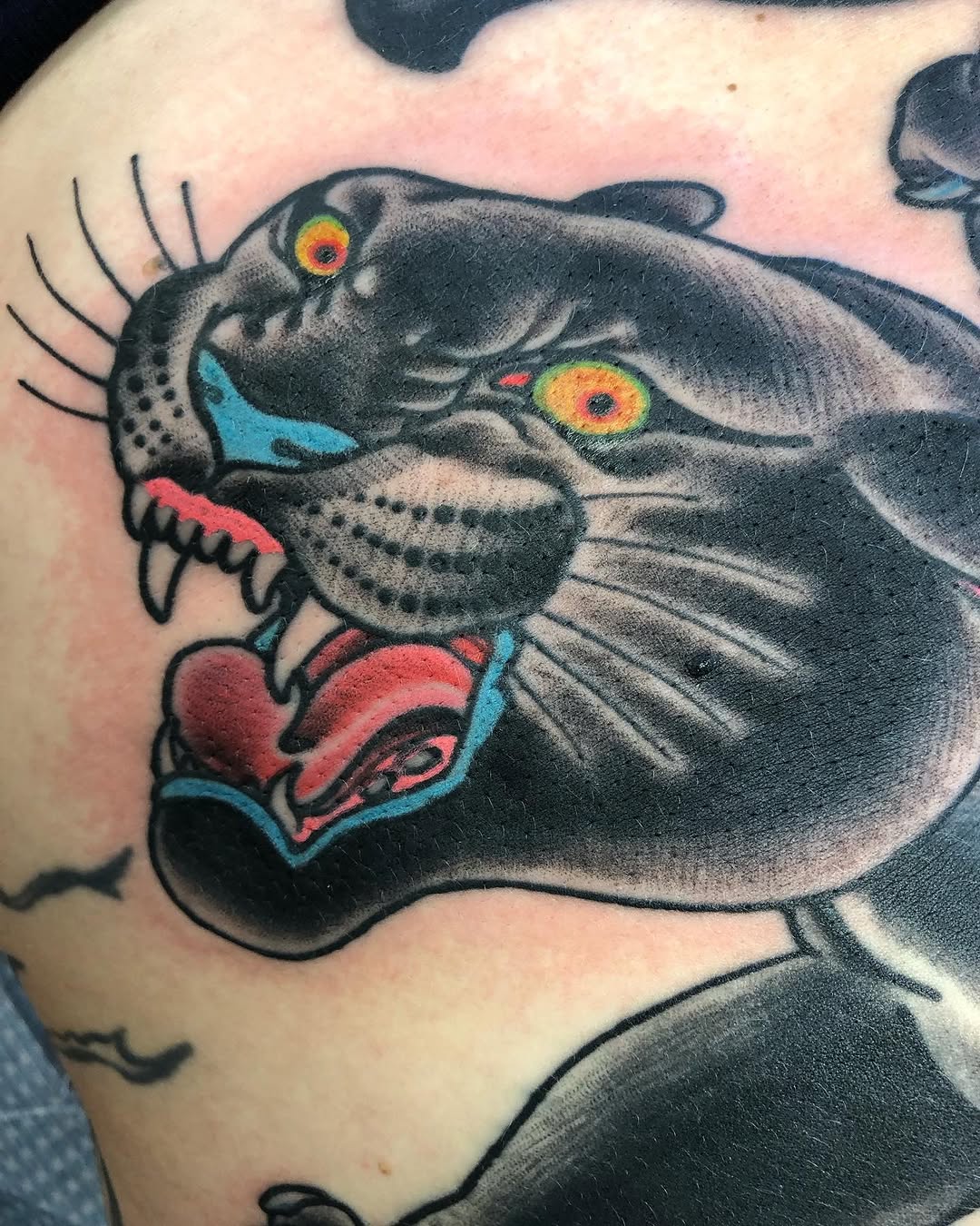 Tiger, Animal