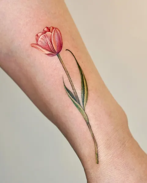Flower, 튤립