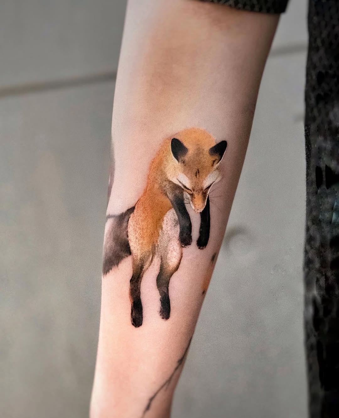 Animal