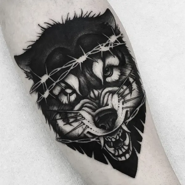 Animal, Tiger