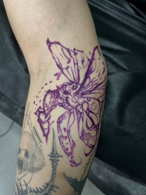 Animal